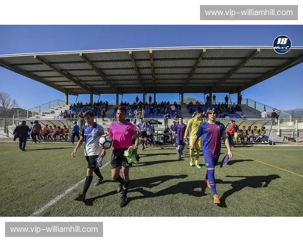 足球入口——点燃激情的起点，走向胜利的门票